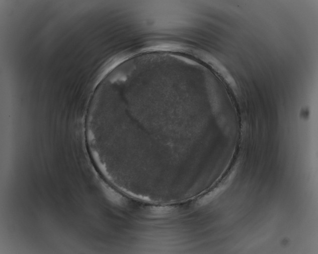 X0000102001425200808081649