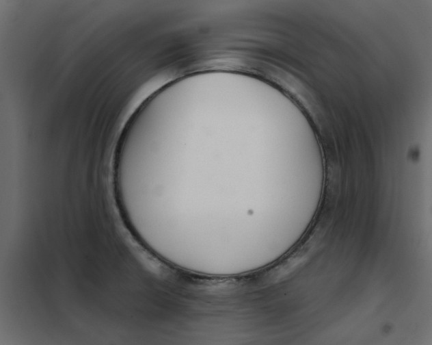 X0000102001426200808081649