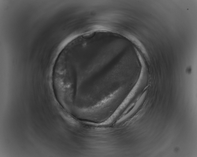 X0000102001427200808081649