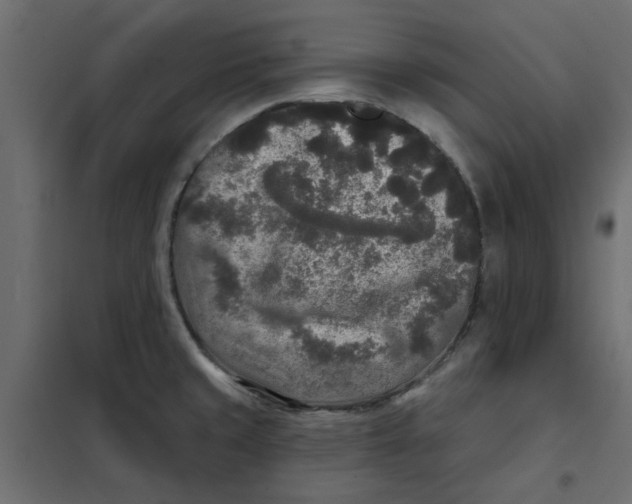 X0000102001429200808081649