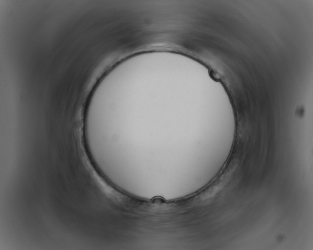 X0000102001430200808081649