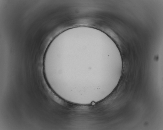 X0000102001431200808081649