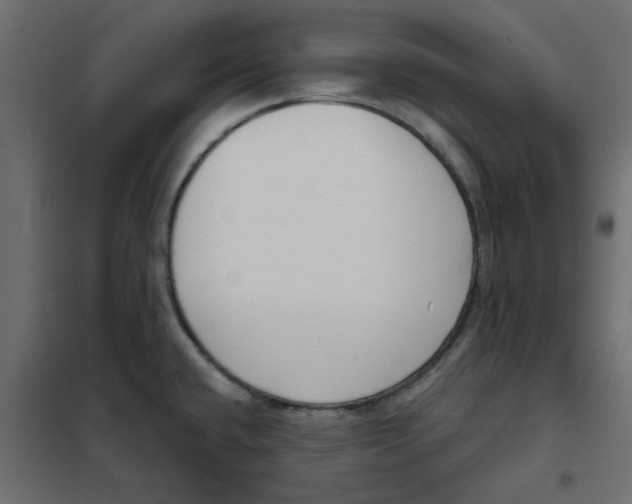 X0000102001432200808081649