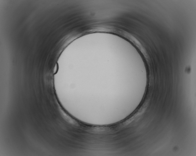 X0000102001433200808081649