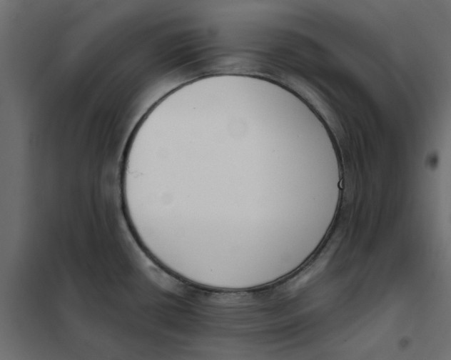 X0000102001434200808081649