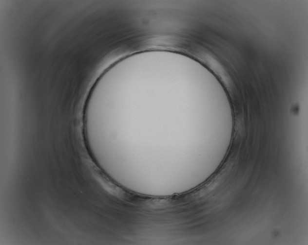 X0000102001435200808081649