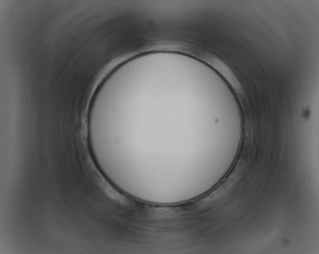 X0000102001436200808081649