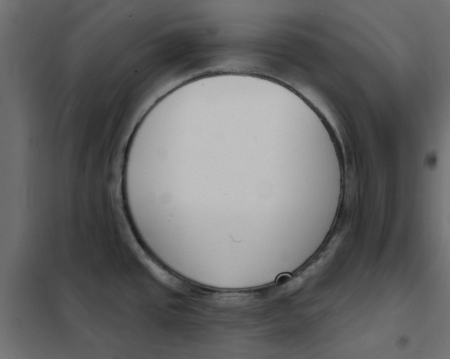 X0000102001437200808081649