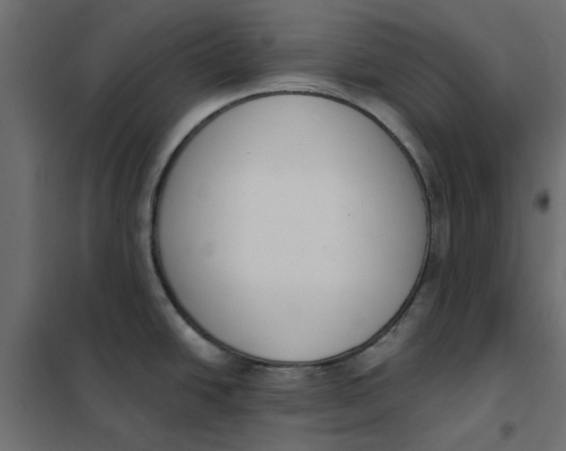 X0000102001438200808081649