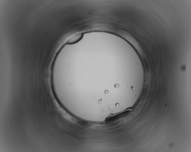 X0000102001439200808081649