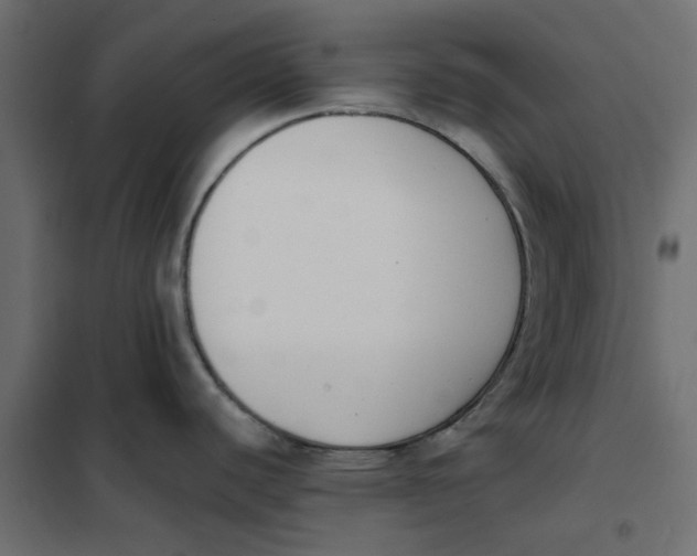 X0000102001440200808081649