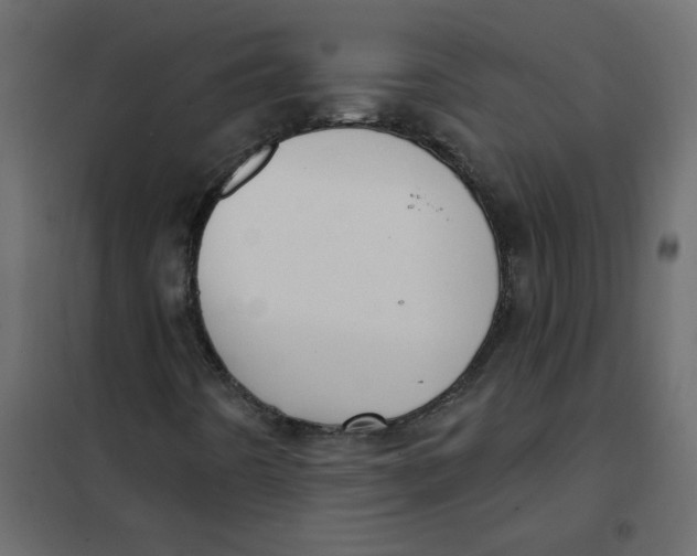 X0000102001442200808081649