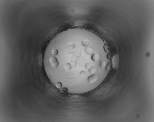 X0000102001443200808081649