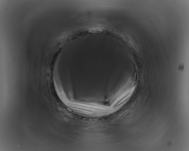 X0000102001445200808081649