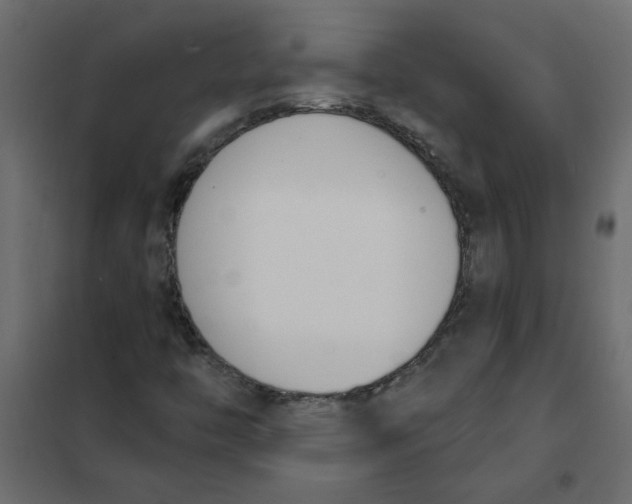 X0000102001446200808081649