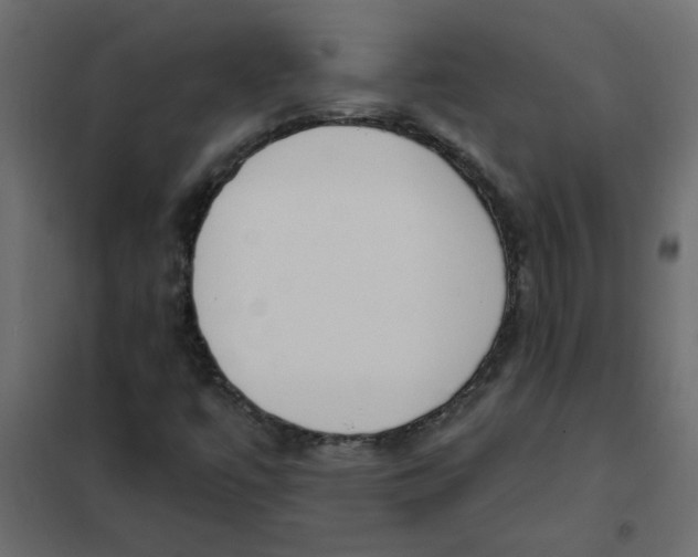 X0000102001447200808081649