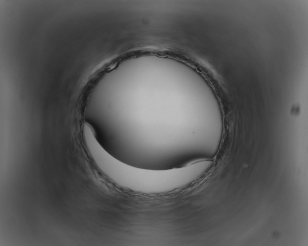 X0000102001448200808081649