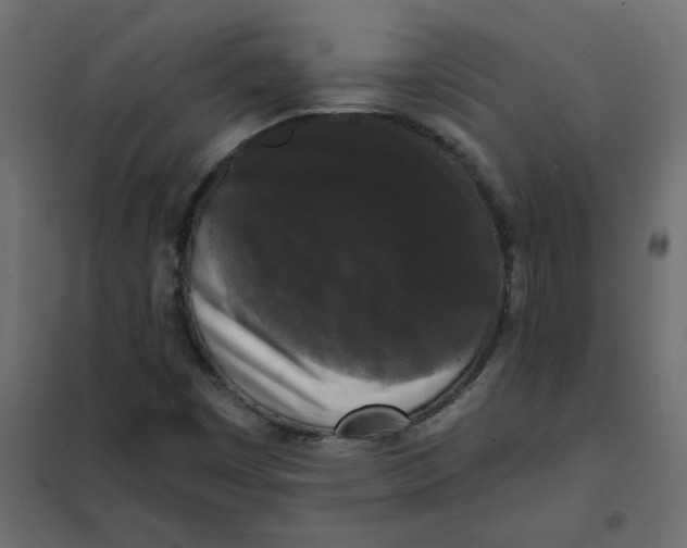 X0000102001449200808081649