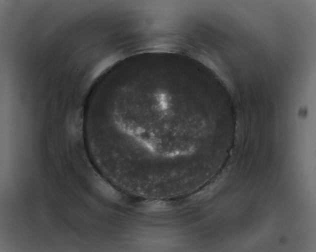 X0000102001450200808081649