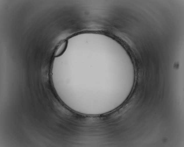 X0000102001451200808081648