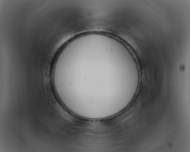 X0000102001452200808081648