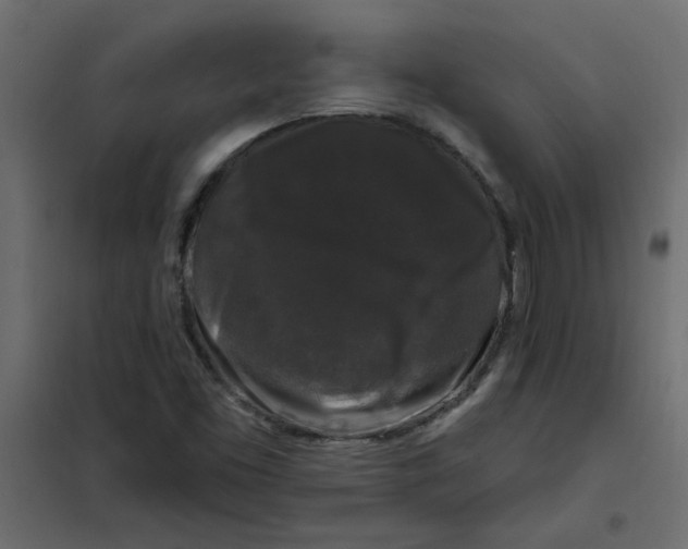 X0000102001453200808081648