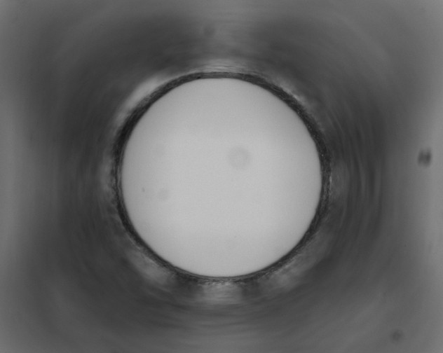 X0000102001454200808081648