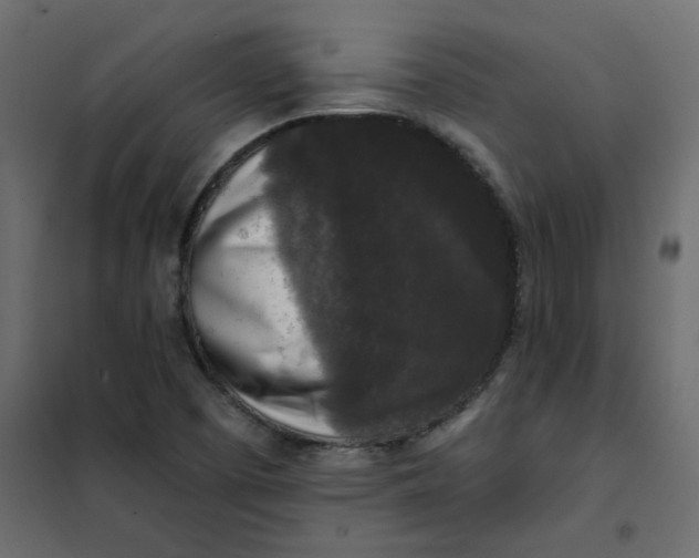 X0000102001457200808081648