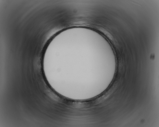 X0000102001458200808081648