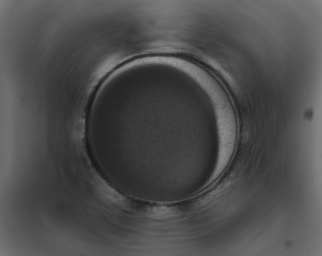 X0000102001459200808081648