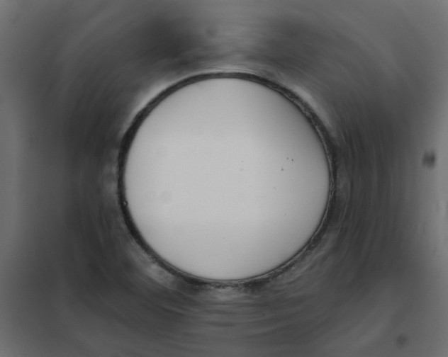 X0000102001460200808081648