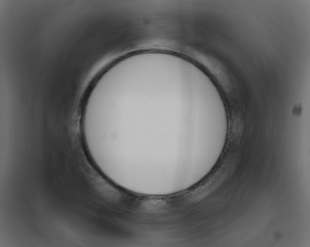 X0000102001462200808081648