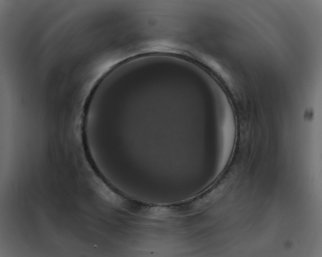 X0000102001463200808081648