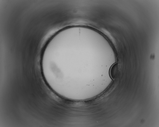 X0000102001464200808081648