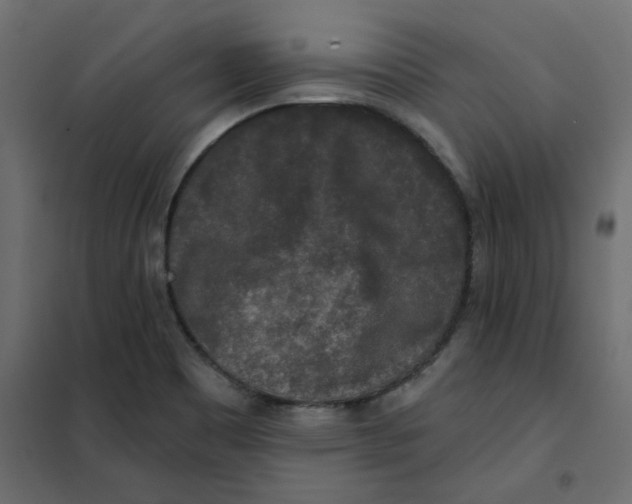 X0000102001465200808081648