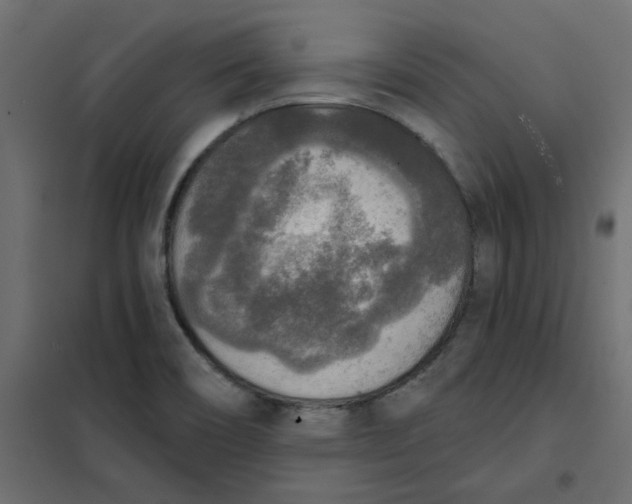 X0000102001466200808081648