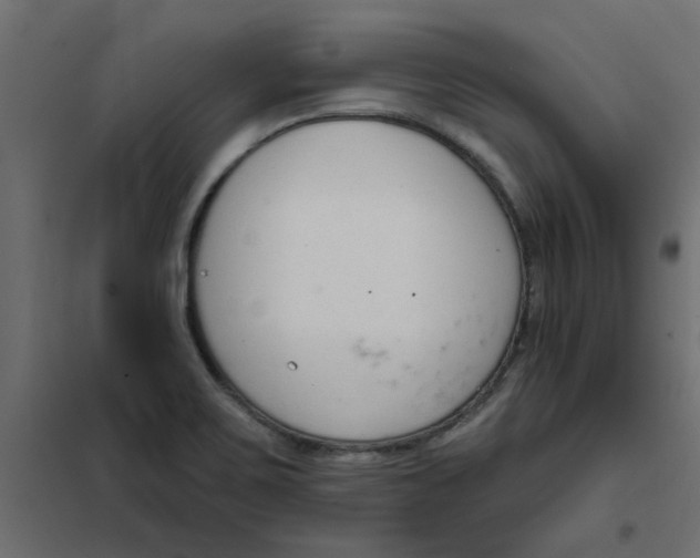 X0000102001467200808081648