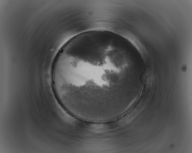 X0000102001468200808081648