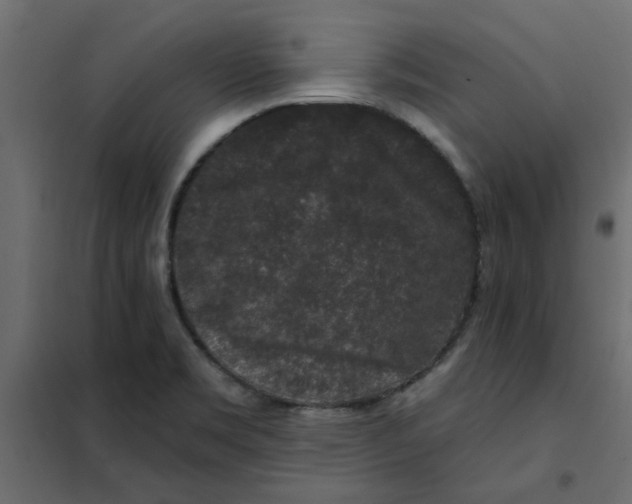 X0000102001469200808081648