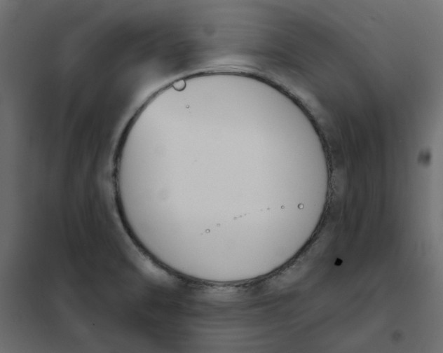 X0000102001470200808081648