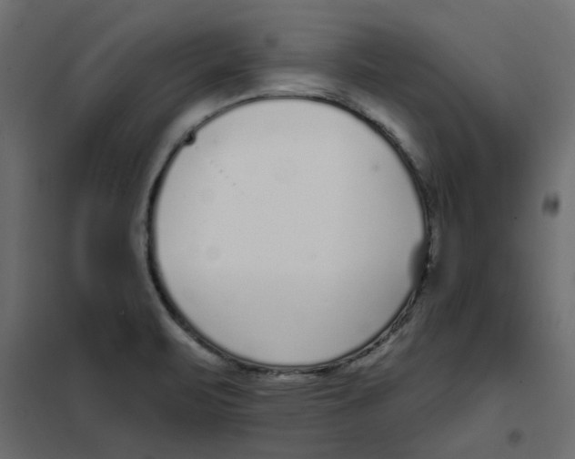 X0000102001471200808081648