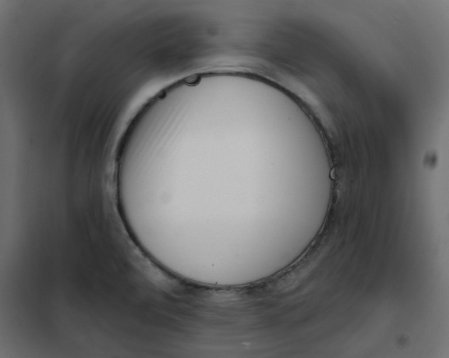 X0000102001472200808081648