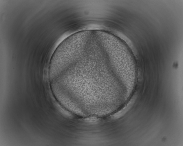 X0000102001473200808081648