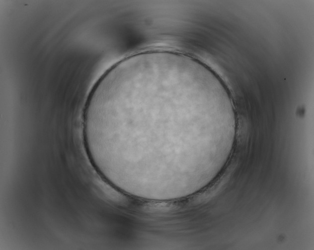 X0000102001474200808081648