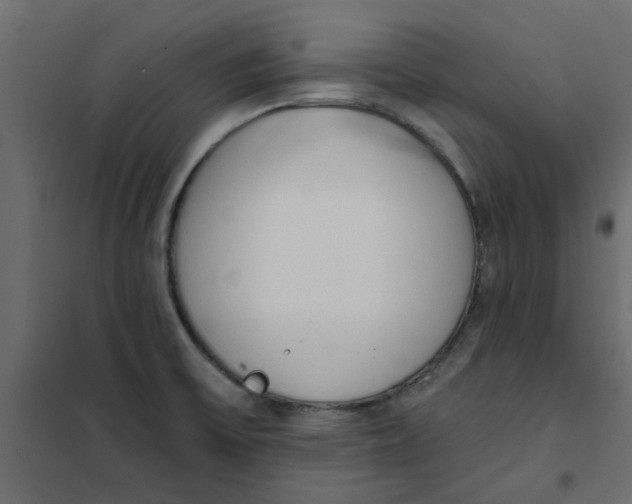 X0000102001475200808081648