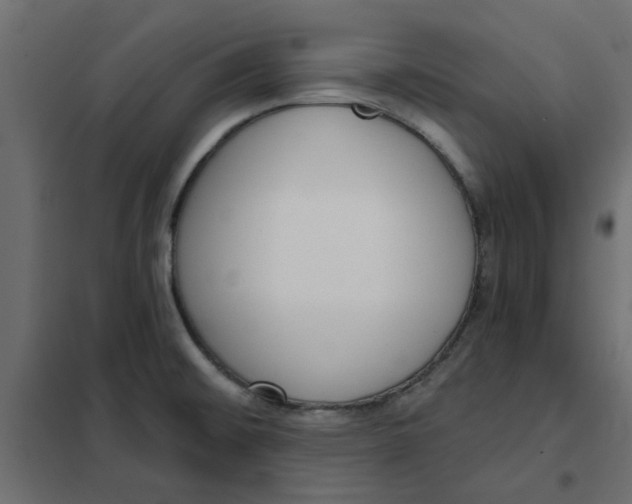 X0000102001476200808081648