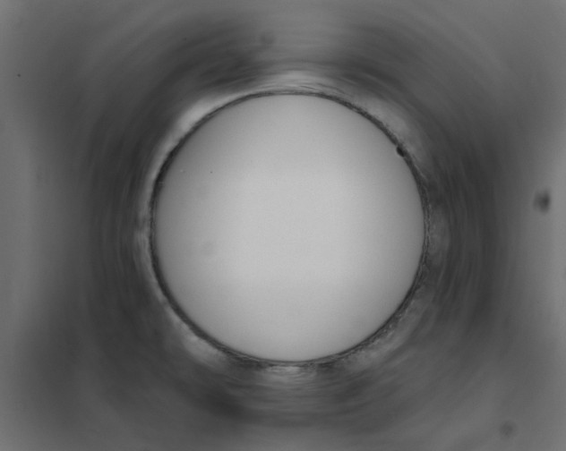 X0000102001478200808081648