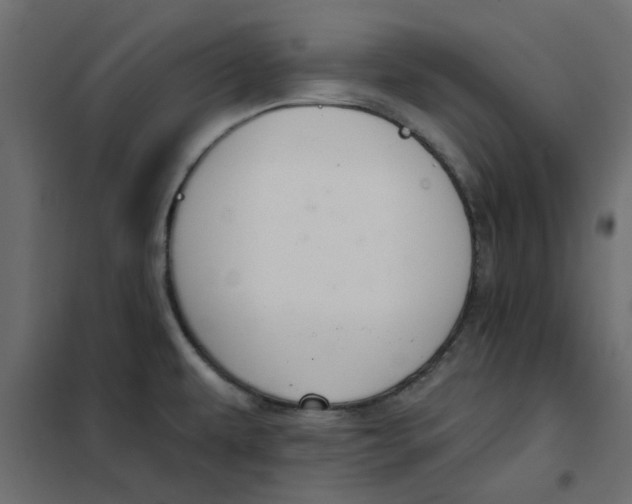 X0000102001479200808081648