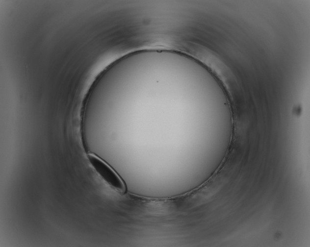 X0000102001480200808081648