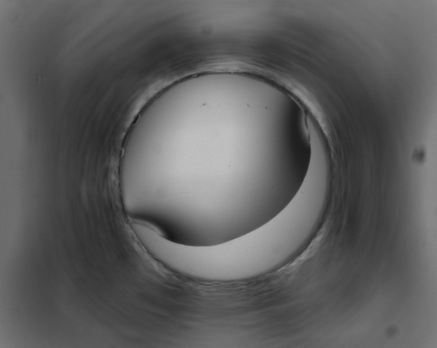 X0000102001481200808081648